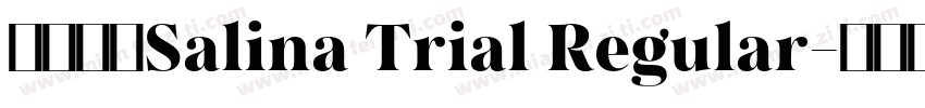 字体名称Salina Trial Regular字体转换